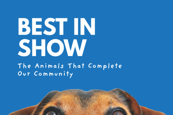 Meet Charlie: Marvin’s Goose-Chasing, Circle-Spinning Lab